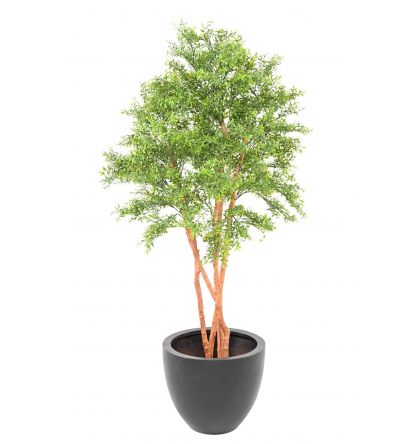 Eucalyptus tree UV artificiel H150cm