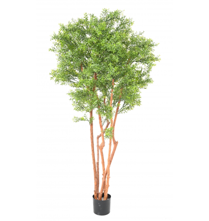 Eucalyptus tree UV artificiel H180cm