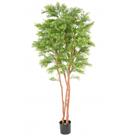 Eucalyptus tree UV artificiel H210cm