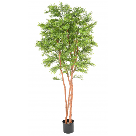 Eucalyptus tree artificiel UV 210cm