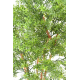 Eucalyptus tree artificiel UV 210cm