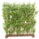 Haie eucalyptus UV artificiel H110cm L100cm