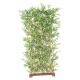 Haie bambou japanese UV 110-150-180cm