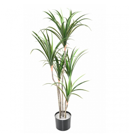 Plante Artificielle Palmier H125cm