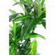 Dracaena artificiel fragrans H135cm