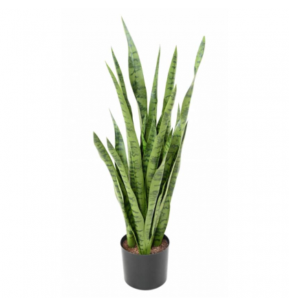 Sansevieria artificiel H85cm