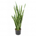 Sansevieria artificiel H85cm