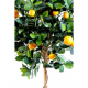 Oranger sur tige artificiel H125cm