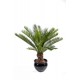 Palmier cycas artificiel tronc H90 & 100cm