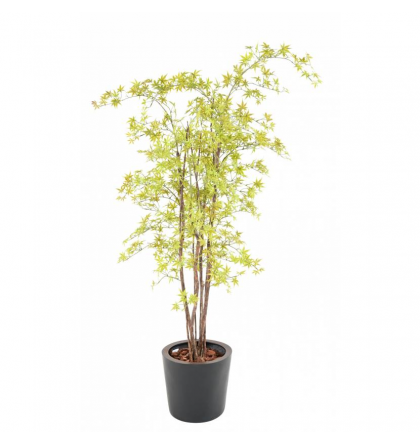 Aralia (érable) UV artificiel H180cm