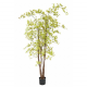 Aralia (érable) UV artificiel H180cm