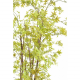 Aralia (érable) UV artificiel H180cm