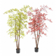 Aralia (érable) UV artificiel H180cm