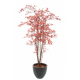 Aralia (érable) UV artificiel H180cm