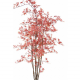 Aralia (érable) UV artificiel H180cm