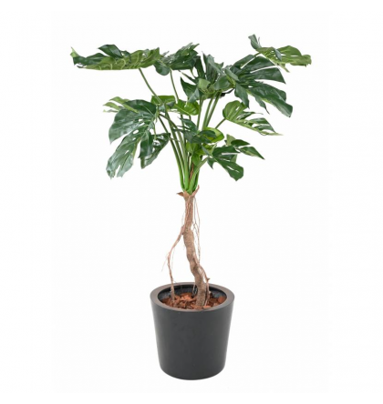 Philodendron Monstera artificiel H130cm