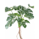 Philodendron Monstera artificiel H130cm