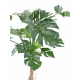 Philodendron Monstera artificiel H130cm