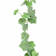 Vigne UV artificielle L260cm