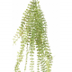 Plante chute artificielle Dischidia L75cm