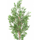 Olivier artificiel UV tree H150 et 180cm