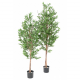 Olivier artificiel UV tree H150 et 180cm