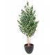 Eucalyptus Gunni buisson artificiel H150 & 190cm