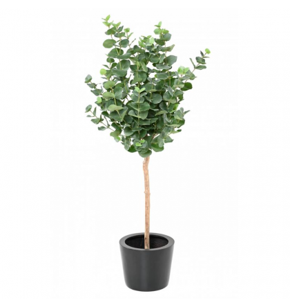 Eucalyptus tige Gunni  artificiel H130 & 150cm