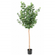 Eucalyptus tige Gunni  artificiel H130 & 150cm