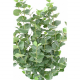 Eucalyptus tige Gunni  artificiel H130 & 150cm