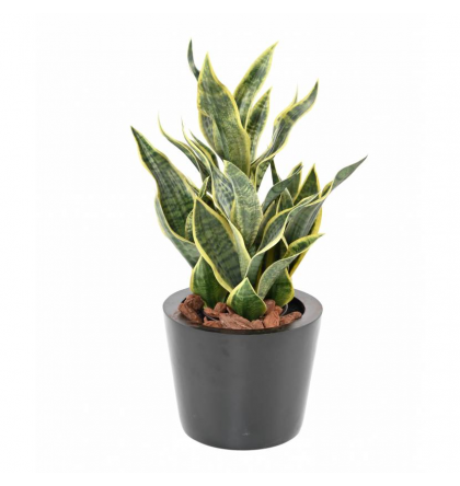 Sansevieria Masoniana artificiel H65cm