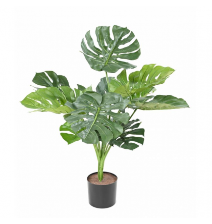 Philodendron Monstera artificiel H75cm