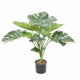 Philodendron Monstera artificiel H75cm