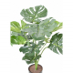 Philodendron Monstera artificiel H75cm