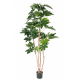 Fatsia Japonica artificiel H150 & 180cm