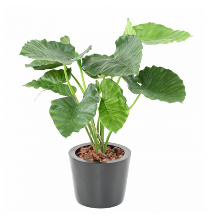 Alocasia Calidora artificiel H65 & 80cm