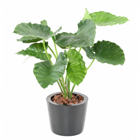 Alocasia Calidora artificiel H65 & 80cm