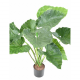 Alocasia Calidora artificiel H65 & 80cm