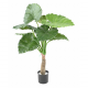 Alocasia Calidora artificiel H65 & 80cm