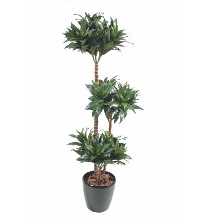 Dracena fragrans artificiel 120cm