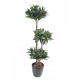 Dracena fragrans artificiel H120cm