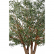 Olivier tree (400cm)