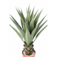 Agave artificielle H85cm