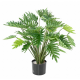 Philodendron selloum artificiel H70cm