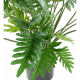 Philodendron selloum artificiel H70cm