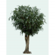 Ficus artificiel Géant Tree 350 et 650cm