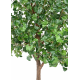 Ginkgobiloba artificiel tree H290cm
