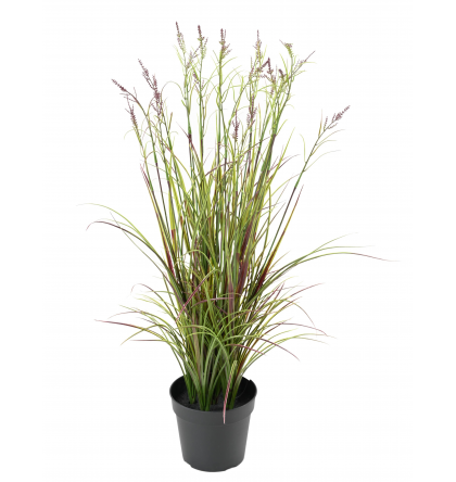 Acorus fleuri UV artificiel H70cm