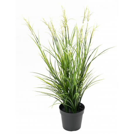 Acorus fleuri UV artificiel H70cm