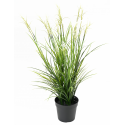 Acorus fleuri UV artificiel H70cm